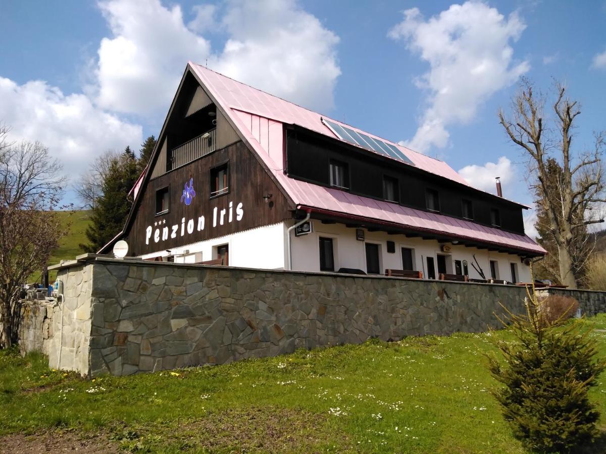 Penzion Iris Krkonose Horní Maršov Extérieur photo